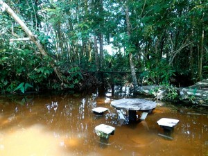 Photo d'un restaurant les pieds dans l'eau en amazoie