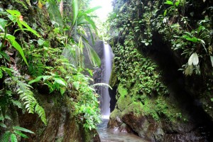 Une des cascades dans la forêt de Mindo